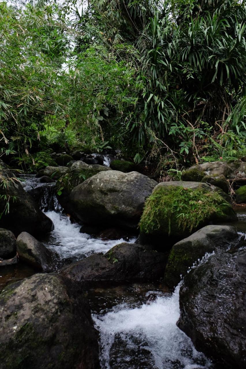Recidencia Del Hamor Sorsogon Exterior foto